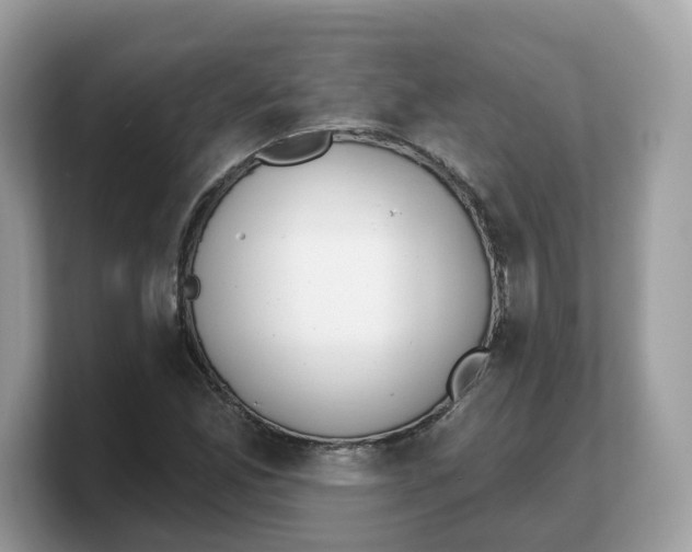 X0000103231165200809181518