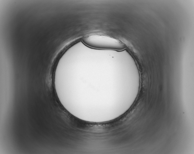 X0000103231167200809181518