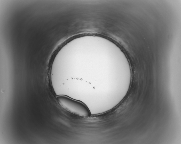 X0000103231168200809181518