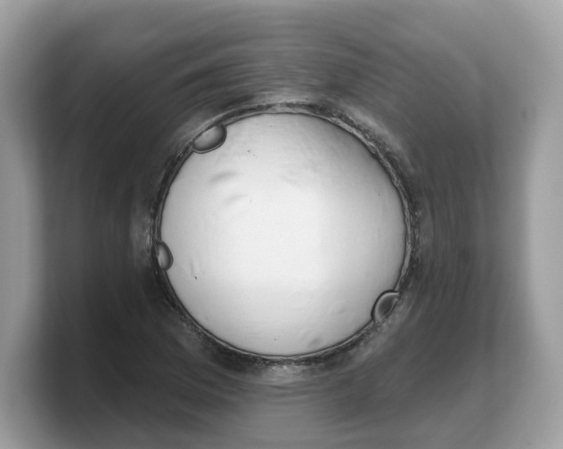 X0000103231169200809181518