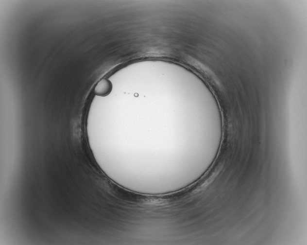 X0000103231170200809181518