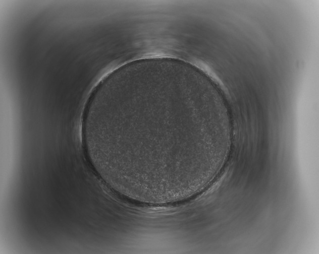 X0000103231173200809181518