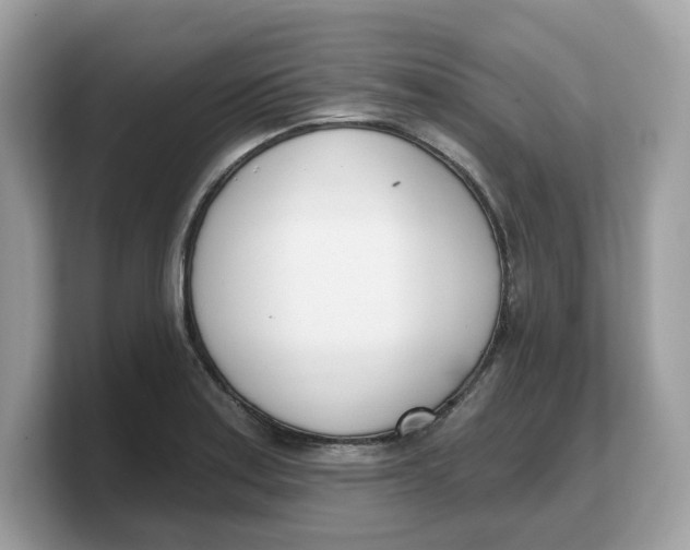 X0000103231179200809181518