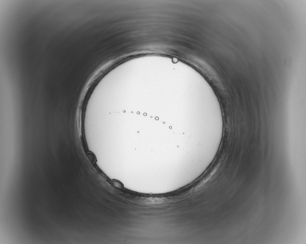 X0000103231180200809181518