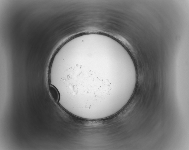 X0000103231183200809181518