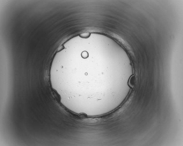 X0000103231185200809181518