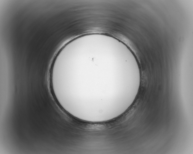X0000103231187200809181518