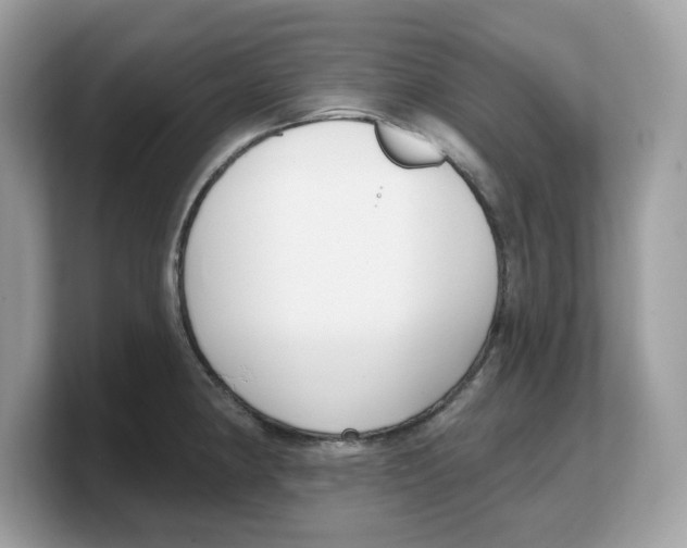 X0000103231190200809181518