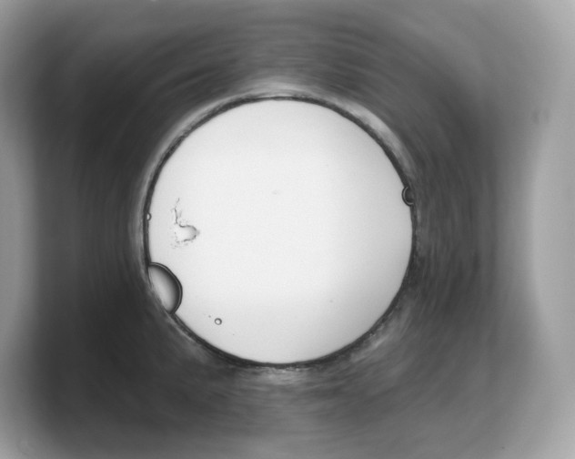 X0000103231191200809181517