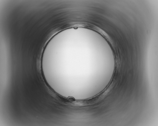 X0000103231194200809181517
