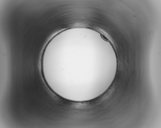X0000103231195200809181517