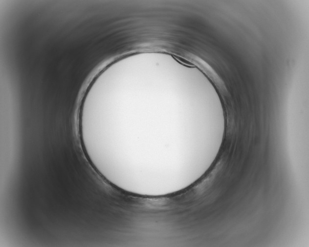 X0000103231196200809181517
