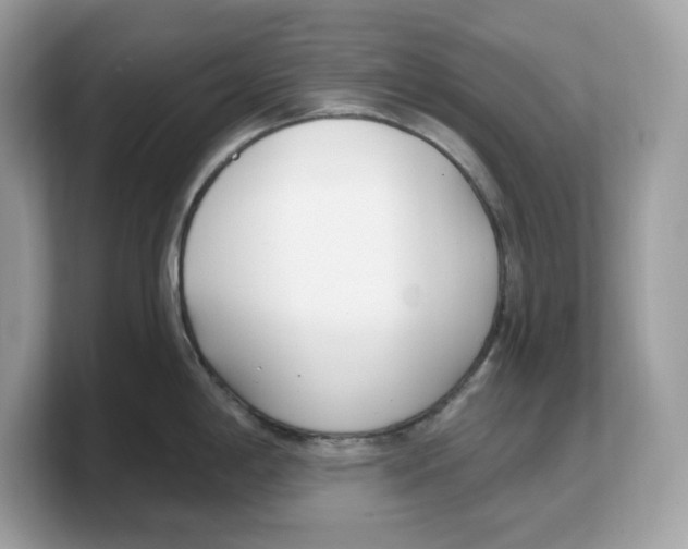 X0000103231198200809181517