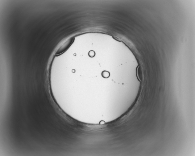 X0000103231200200809181517