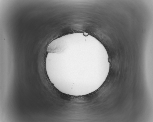 X0000103231201200809181517
