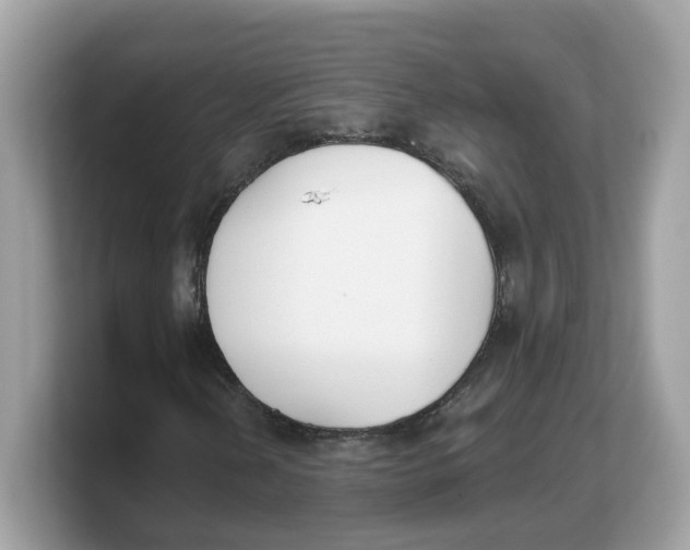 X0000103231202200809181517