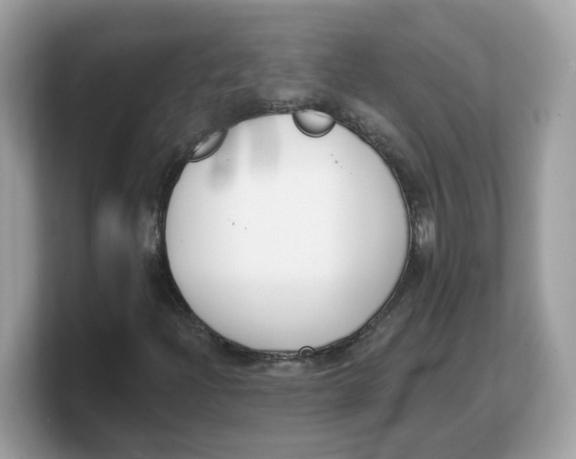 X0000103231204200809181517