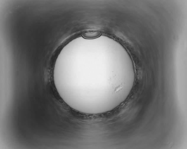 X0000103231208200809181517