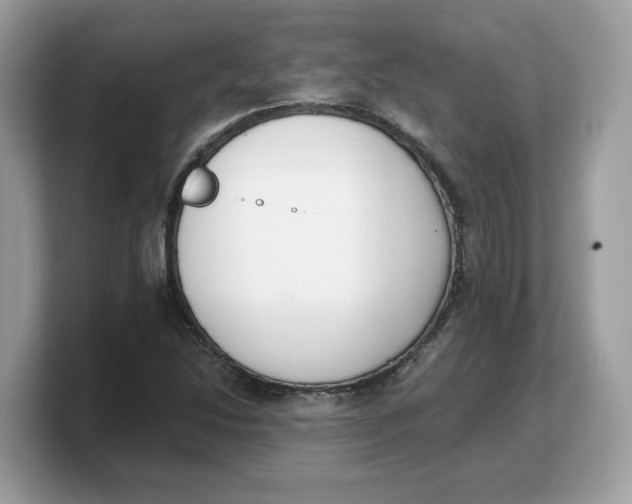 X0000103231214200809181517