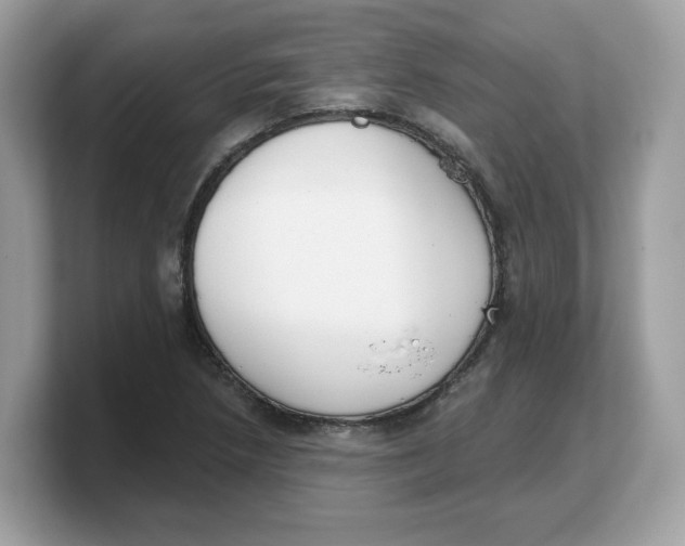 X0000103231218200809181517