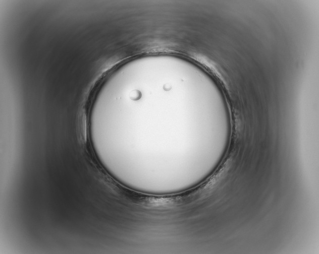 X0000103231219200809181517