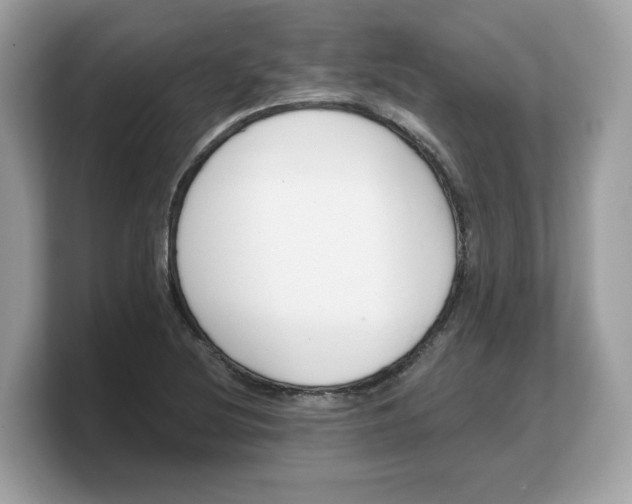 X0000103231220200809181517