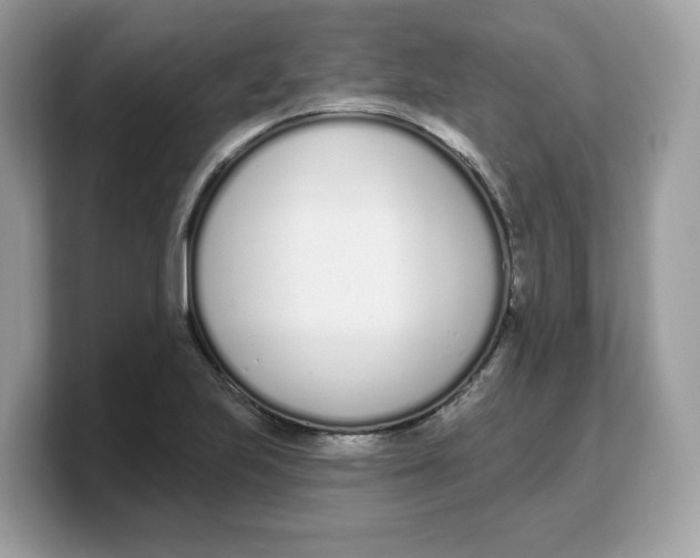 X0000103231223200809181517