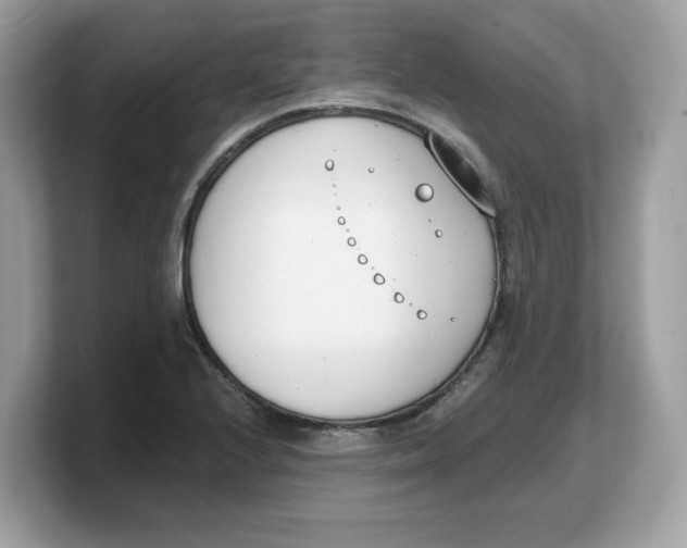 X0000103231224200809181517