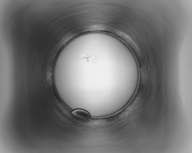 X0000103231225200809181517