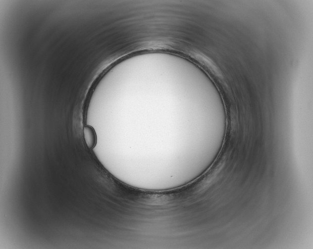 X0000103231226200809181517