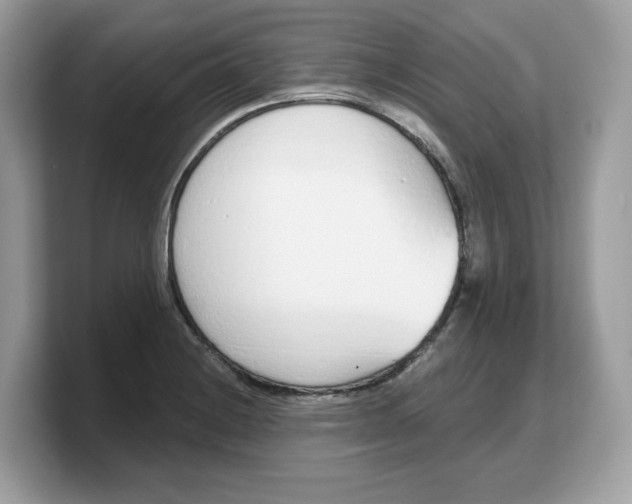 X0000103231228200809181517