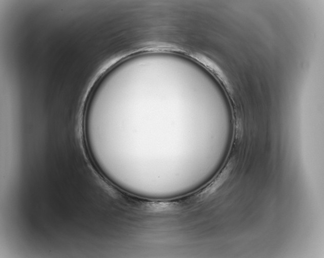 X0000103231231200809181517