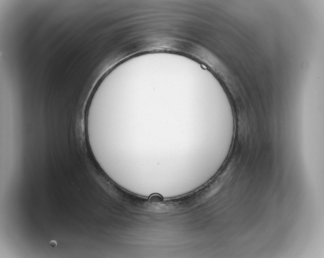 X0000103231234200809181517