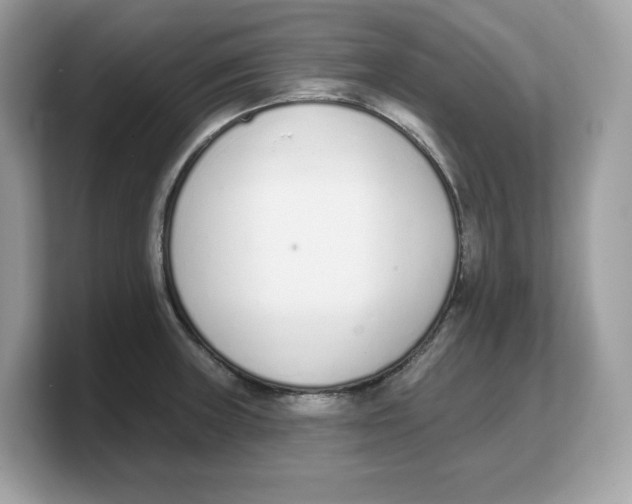 X0000103231235200809181517