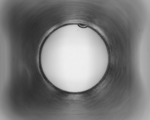 X0000103231237200809181517