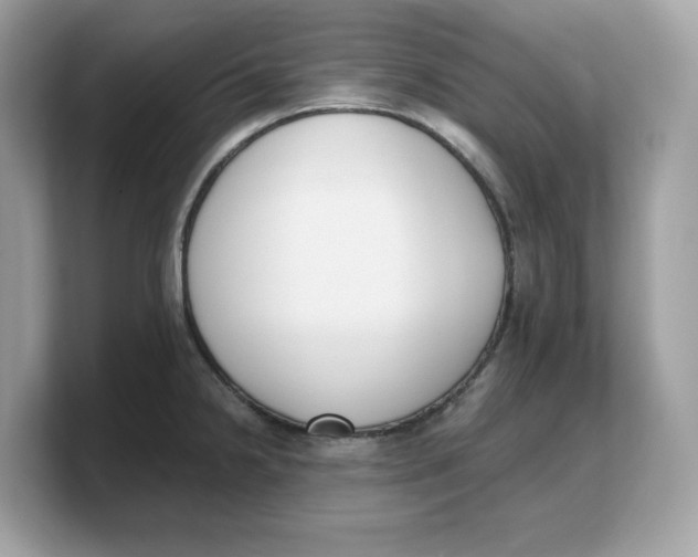 X0000103231238200809181517