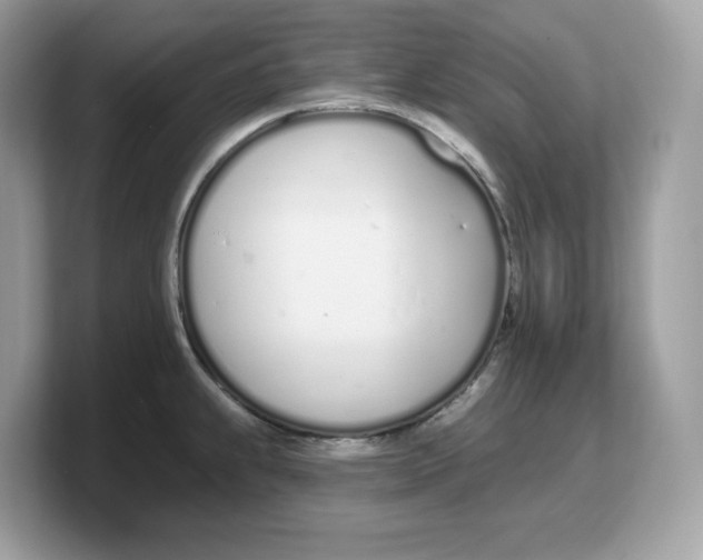 X0000103231239200809181517
