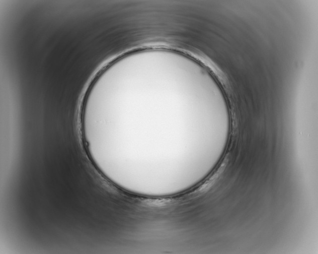 X0000103231240200809181517