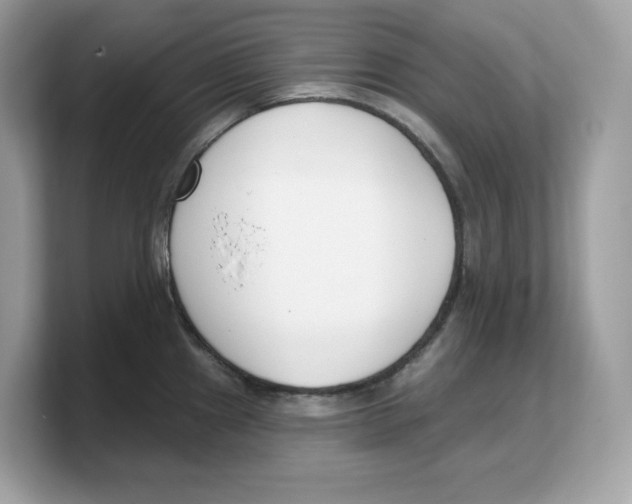 X0000103231241200809181517