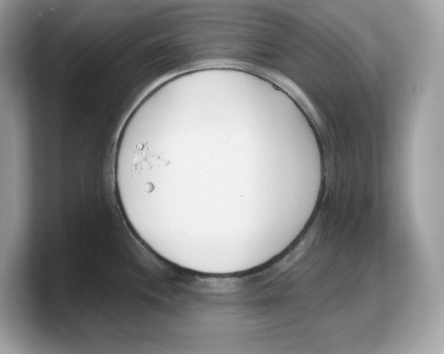 X0000103231244200809181517