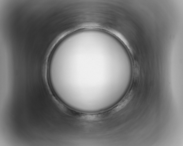 X0000103231245200809181517
