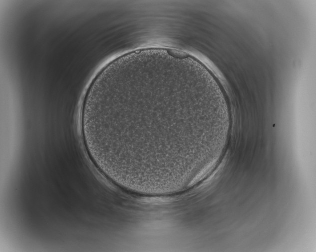 X0000103231246200809181517