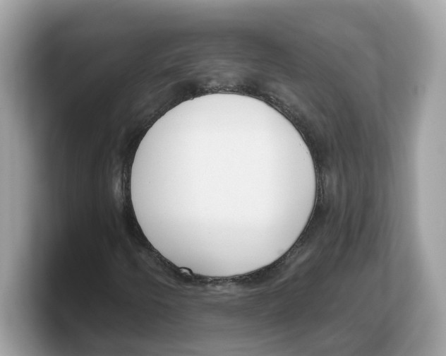 X0000103231250200809181517