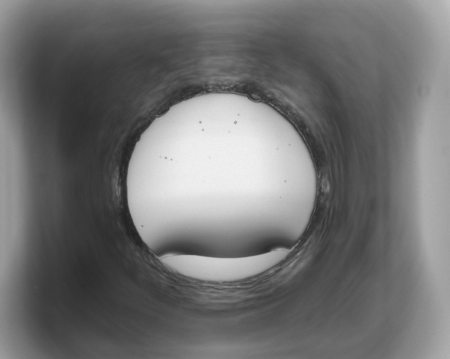 X0000103231252200809181517