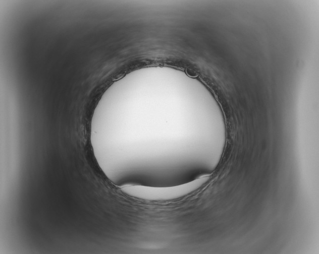 X0000103231253200809181517