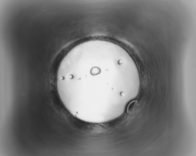 X0000103231255200809181517
