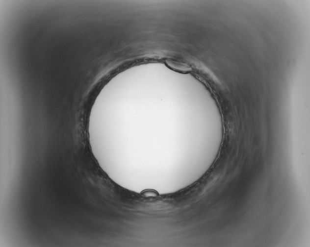 X0000103231256200809181517