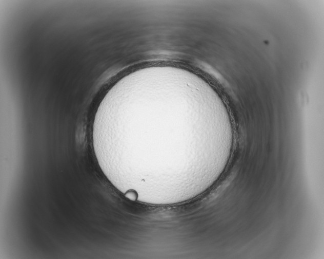 X0000103231259200809181517