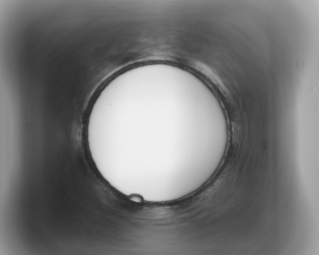 X0000103231260200809181517