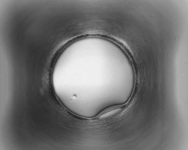 X0000103231263200809181517